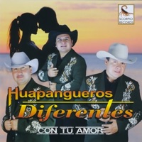 Con Tu Amor - Huapangueros Diferentes