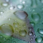 Rain on a Tent