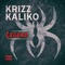 Foolish (feat. Rittz) - Krizz Kaliko lyrics