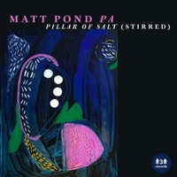 Pillar of Salt (Stirred) [feat. Anya Marina] - Single - Matt Pond PA