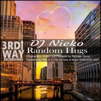 Random Hugs - Single - Nieko