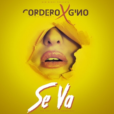 Se Va (feat. Cordero) - Single