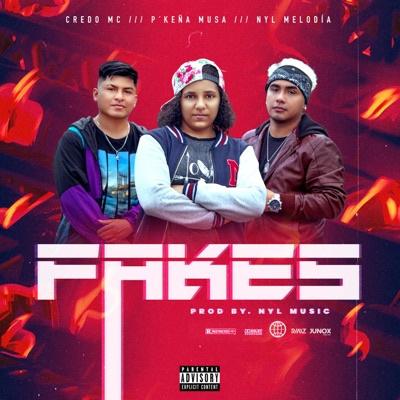 FAKES - Single