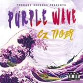 PURPLE WAVE feat. MonyHorse artwork