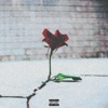 Concrete Rose - Single