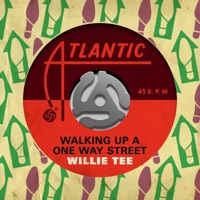 Walking up a One Way Street - EP - Willie Tee