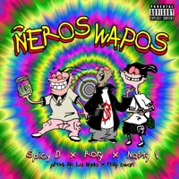 Ñeros Wapos (feat. Rory Swann & Spicy D) - Single - Na$ty V