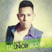 Tu Único Dueño - Single - JoeRandy