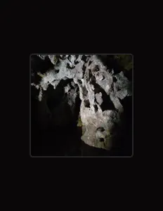 收听 JenaMu6、观看音乐视频、阅读小传、查看巡演日期等 ！