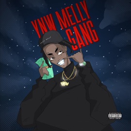 Gang YNW Melly