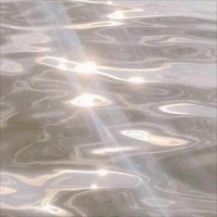 Mastercard (feat. Meat Computer) - Single - Dylann