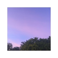 Let It Spray - Single - Praxi