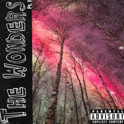 The Wonders Pt.II (feat. OyVay) - Single