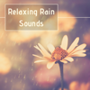 Relaxing Rain Sounds: Best Selection of Gentle Rain Sounds Help You to Relax, Meditate, Sleep - Healing Music & Nature Ambience