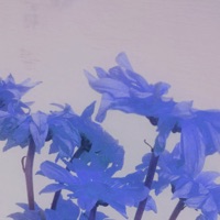 The Memories We Share (feat. Justin Vasquez) - Single - Monty Datta