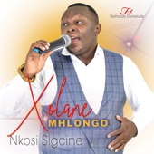 Nkosi Sigcine artwork