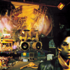 Prince - Sign O' The Times artwork