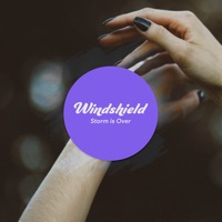 Windshield - Not in Love with Him