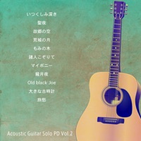 Acoustic Guitar Solo PD Vol.2