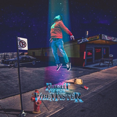 Flight of the VibeMaster - EP