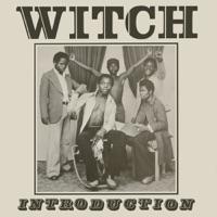 Introduction and In The Past - WITCH