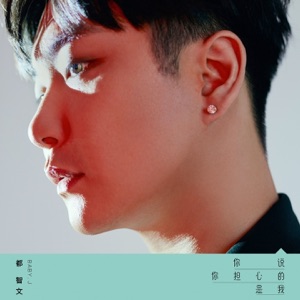 你担心的是我 - Single