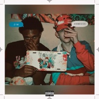 Dark Night (feat. Lil Zzzim) - Single - Hxmesick