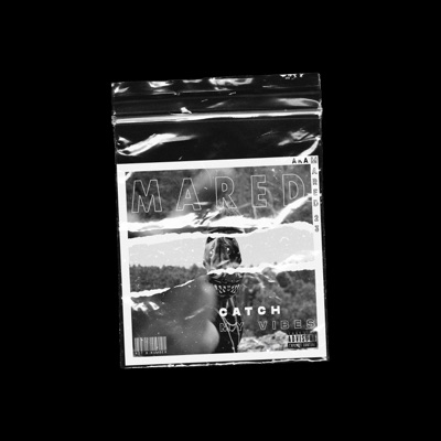 Catch My Vibe - Single