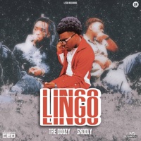 Lingo (feat. Skooly) - Single - Tre Doozy