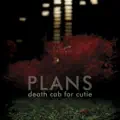 I Will Follow You Into the Dark