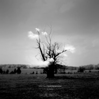 Wolfman's Dream (Yotam Avni Remix) - Single - Kazuya Nagaya