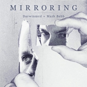 Mirroring - Single