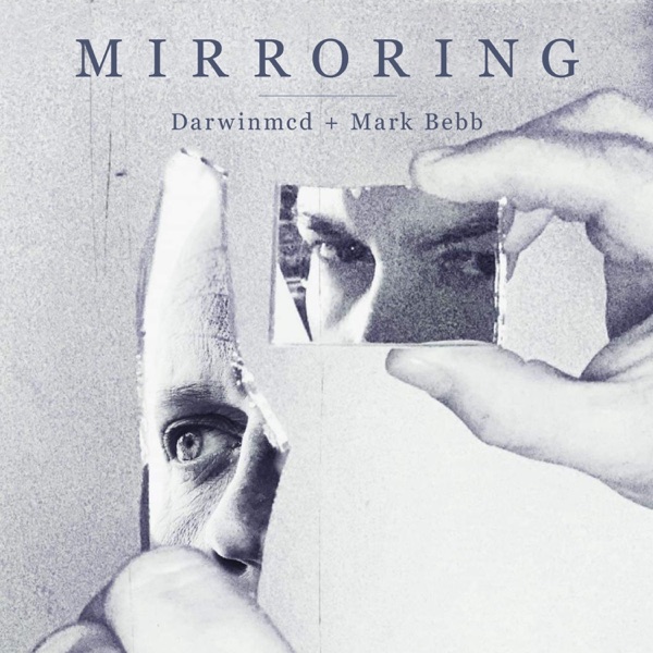 Mirroring - Single