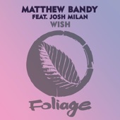 Wish (feat. Josh Milan & Frankie Feliciano) [Frankie Feliciano Ricanstruction Vocal Mix] artwork