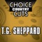 Do You Want to Go to Heaven - T.G. Sheppard lyrics