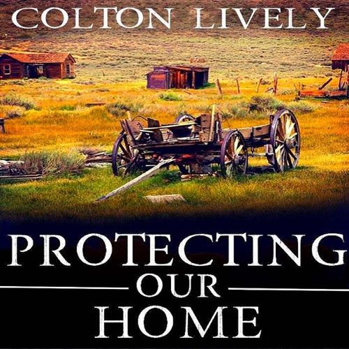 Protecting Our Home: EMP Survival in a Powerless World Series, Book 18 (Unabridged) cover