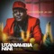 Utaniambia Nini - Professor Jay lyrics