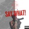 Say What (feat. LK) - Skyline Certified lyrics