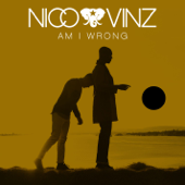 Am I Wrong song art