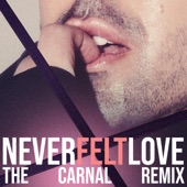 Never Felt Love (The Carnal Mix) artwork