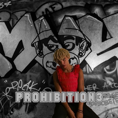 Prohibition 3 - Single