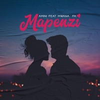 Mapenzi (feat. MwanaFA) - Single - Amini