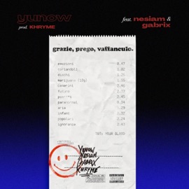 Grazie Prego Vaffanculo (feat. Nesiam & Gabrix) Yunow