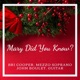 Mary Did You Know feat John Boulet Guitar Single