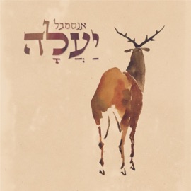 כימי הנעורים מי יתנני אנסמבל יעלה, Meron Gelbard, אלירן מזוז & Akiva Natan