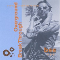 Break Through Overground - Bee