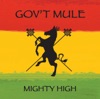 Gov't Mule