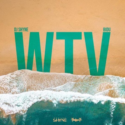 WTV (feat. BIDU) - Single