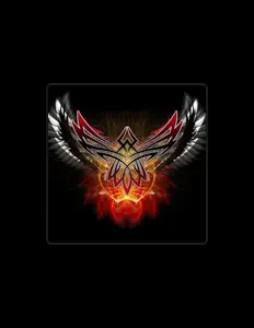 Dj Shaman: песни, клипы, биография, даты выступлений и многое другое.