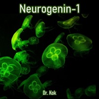 Neurogenin-1 - Single - Dr. Kok
